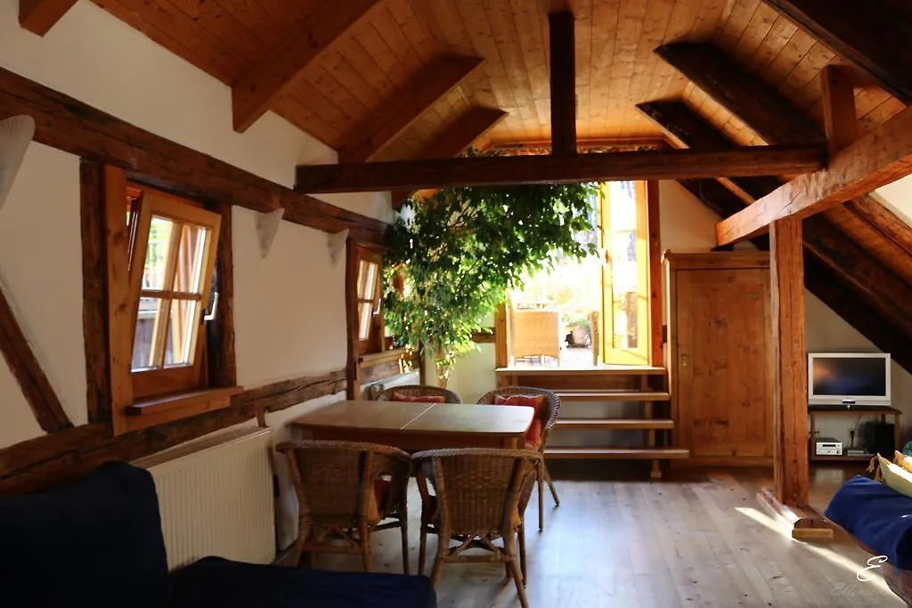 Apartment Bio-Ferienwohnung Ellensohn Lindau
